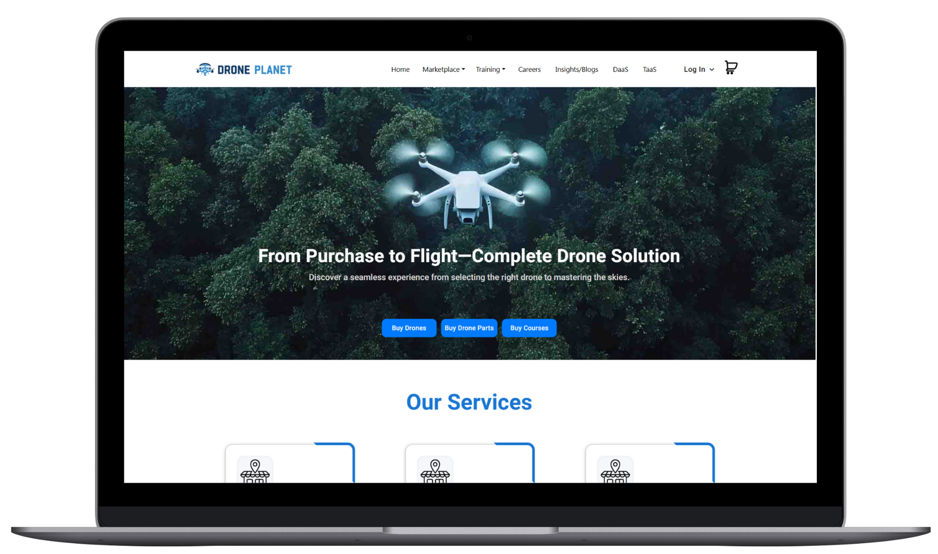 CMS Development